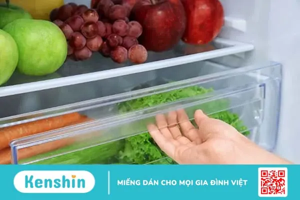 Đâu là cách bảo quản rau trong tủ lạnh hiệu quả nhất?