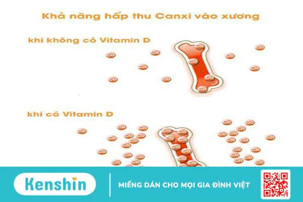 Đâu là cách bổ sung vitamin D hiệu quả cho trẻ tuổi teen? Tìm hiểu ngay!