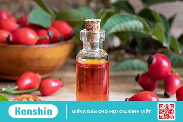 Dầu nền là gì? Tìm hiểu các loại dầu nền tốt nhất