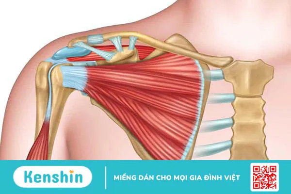 Đau nhói giữa ức là dấu hiệu của bệnh gì?