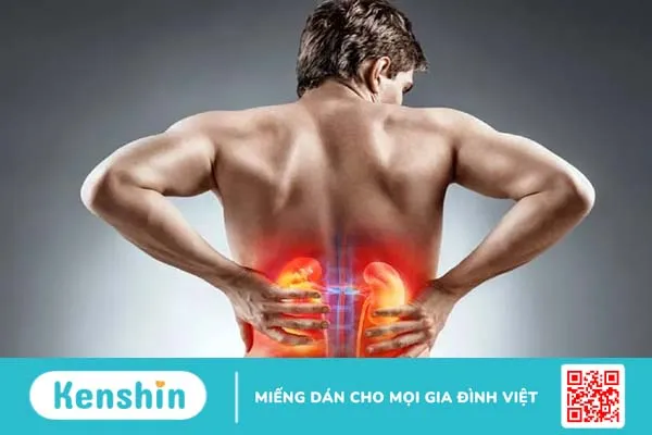 Đau sỏi thận là đau ở đâu? Phân biệt đau lưng và đau thận