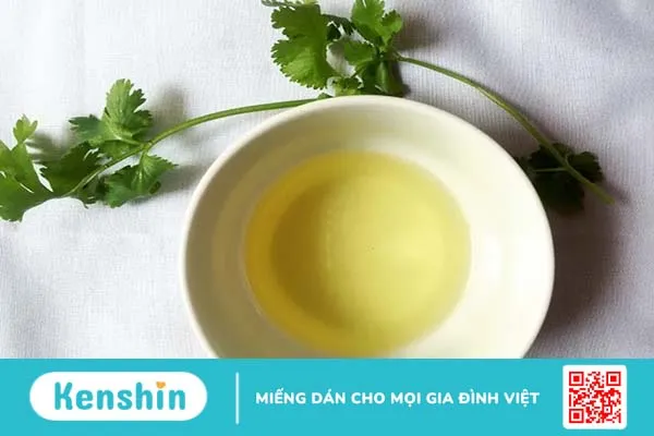 Dầu tảo biển: Nguồn omega-3 có thể thay thế dầu cá