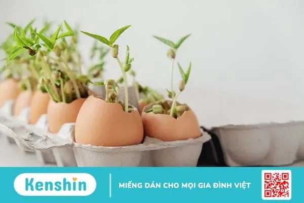 Dạy con tái sử dụng và tái chế rác thải để môi trường mãi xanh