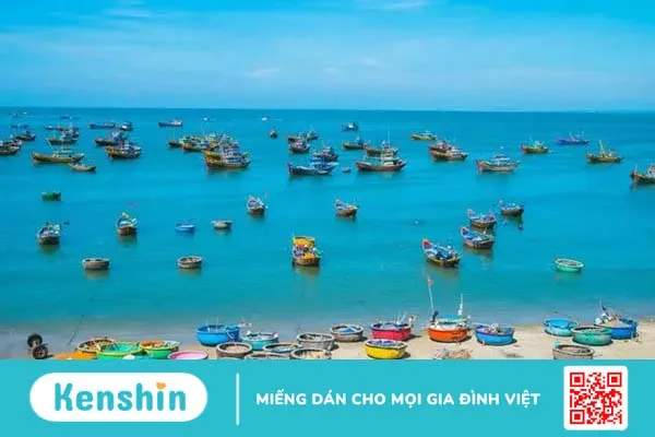 Đi biển mùa hè không chỉ để vui chơi – Khám phá ngay 10 lợi ích bất ngờ từ biển