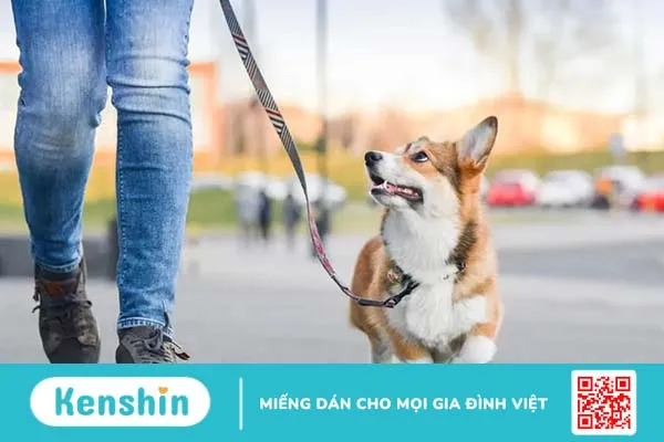 Đi bộ có giảm mỡ bụng không? 4 bí quyết đi bộ giảm mỡ bụng hiệu quả