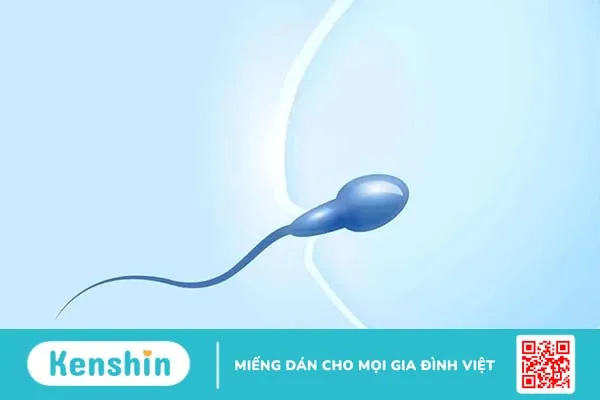 Đi bơi có bầu: Nam giới xuất tinh ở hồ bơi có khiến phụ nữ mang thai không?