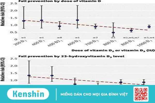 Đi tìm nguyên nhân của bệnh loãng xương ở người già và cách phòng ngừa