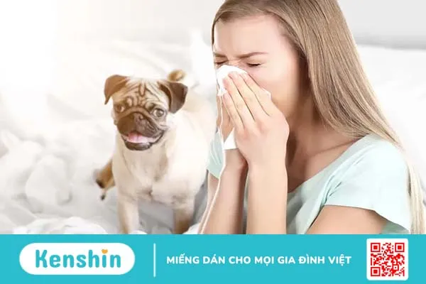 Dị ứng lông chó: Cách nhận biết và xử lý nhanh tại nhà