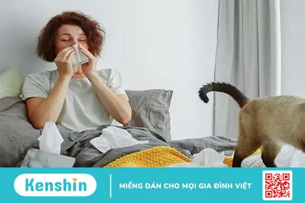 Dị ứng mũi và mắt: Biện pháp chữa trị hiệu quả !