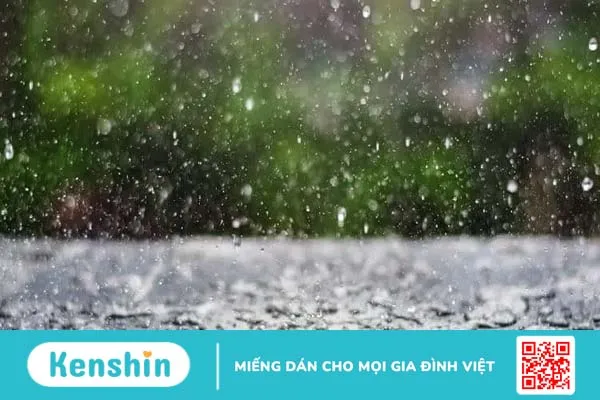 Dị ứng nấm mốc ở người lớn và trẻ em: Những điều cần biết