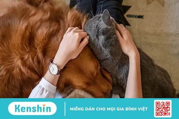 Dị ứng với động vật và côn trùng: Những điều bạn cần biết