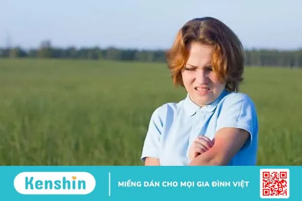 Dị ứng với động vật và côn trùng: Những điều bạn cần biết