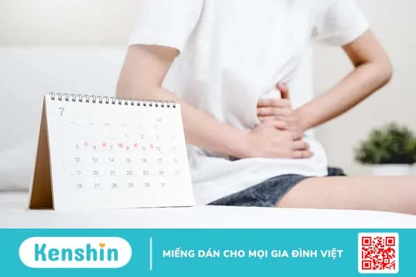 Đĩa nguyệt san là gì? Cách sử dụng đĩa nguyệt san như thế nào?