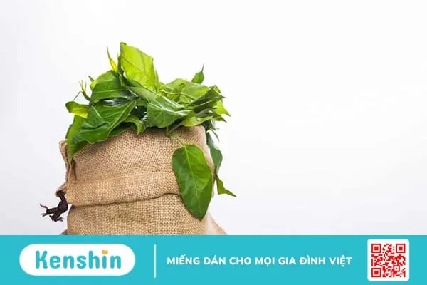 Diabetna: Viên uống dây thìa canh ổn định đường huyết