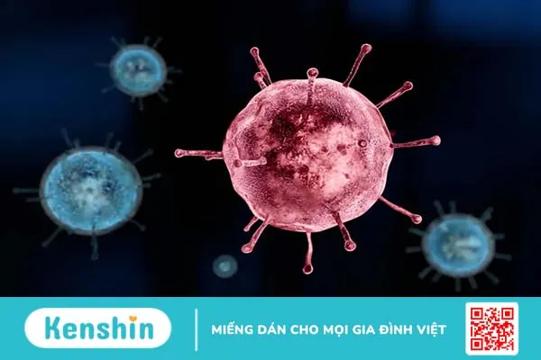 Điểm danh top 10+ virus nguy hiểm nhất mọi thời đại trên toàn cầu