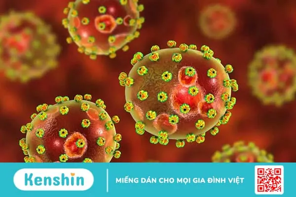 Điểm danh top 10+ virus nguy hiểm nhất mọi thời đại trên toàn cầu