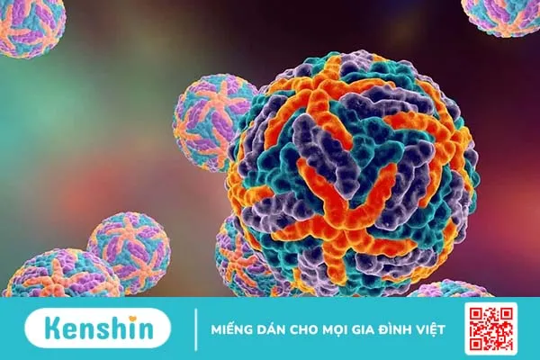 Điểm danh top 10+ virus nguy hiểm nhất mọi thời đại trên toàn cầu