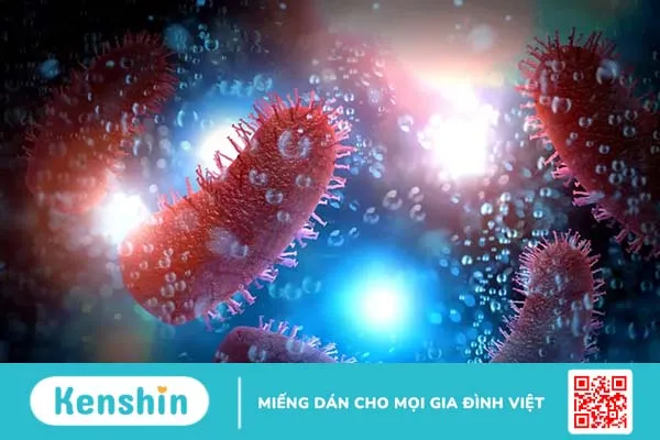 Điểm danh top 10+ virus nguy hiểm nhất mọi thời đại trên toàn cầu