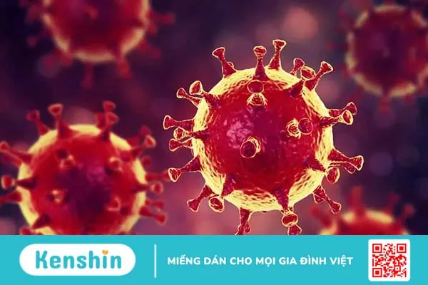 Điểm danh top 10+ virus nguy hiểm nhất mọi thời đại trên toàn cầu