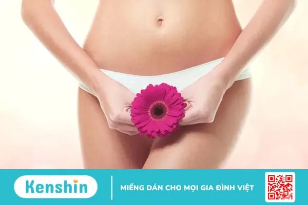 Điểm mặt 8 nguyên nhân gây ngứa vùng kín về đêm và cách khắc phục