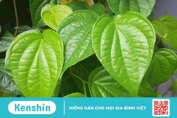 Điều trị viêm tinh hoàn thế nào cho hiệu quả?