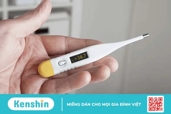 Dinh dưỡng cho bệnh nhân nhiễm trùng máu