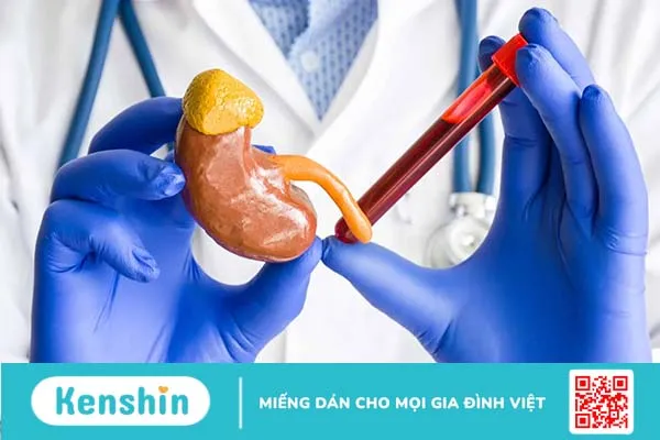 Định lượng creatinin máu: Quy trình thực hiện và ý nghĩa kết quả