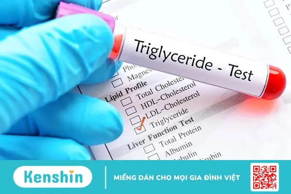 Định lượng triglycerid máu là gì? Kết quả cao hay thấp là bệnh nào?