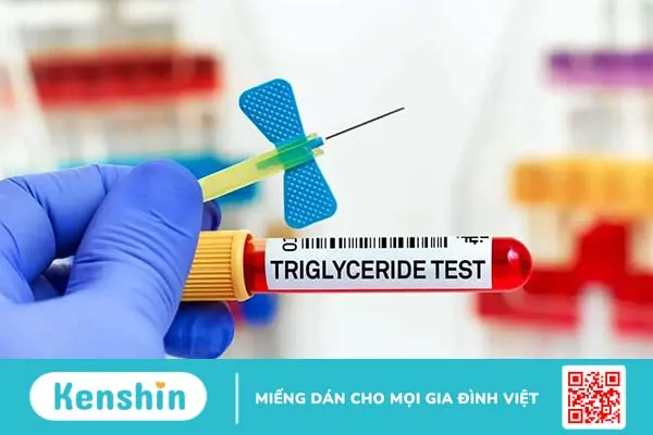 Định lượng triglycerid máu là gì? Kết quả cao hay thấp là bệnh nào?