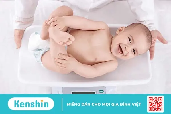 Đồng hóa và dị hóa: Sự khác biệt nào đối với cơ thể?