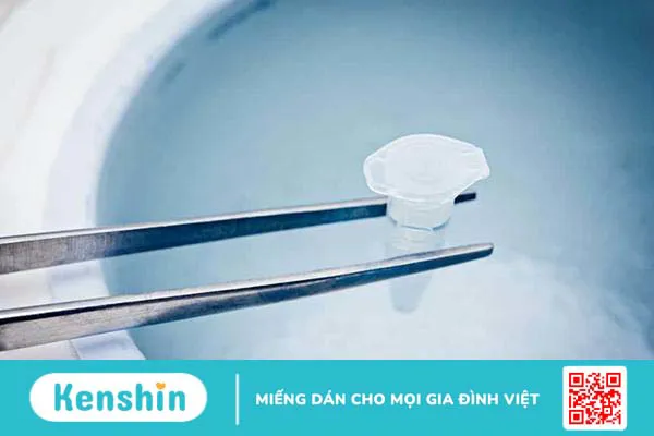 Đông lạnh trứng: Tất tần tật những điều bạn nên biết!