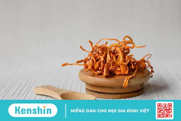 Đông trùng hạ thảo ngâm rượu: Công dụng & Cách dùng