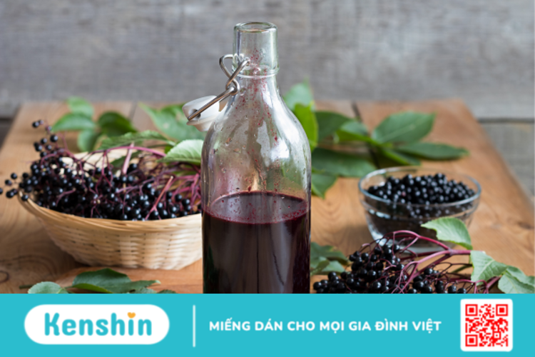 Elderberry là gì? Vai trò của Elderberry đối với sức khỏe?