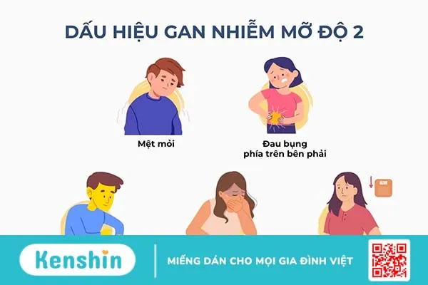 Gan nhiễm mỡ độ 2: Nguyên nhân, đặc điểm, cách điều trị