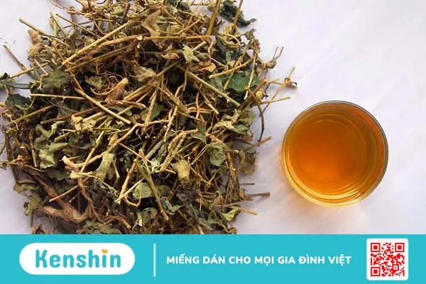 Gan nhiễm mỡ nên uống nước lá gì? 8 loại trà giúp hỗ trợ điều trị hiệu quả