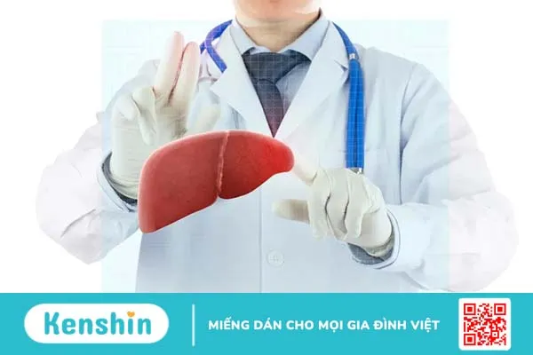 Gan nhiễm mỡ uống thuốc gì? 9 thuốc tiềm năng điều trị gan nhiễm mỡ