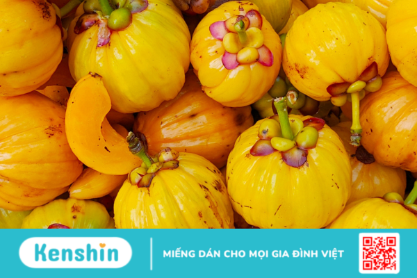 Garcinia là thảo dược gì? Có tác dụng ra sao đối với sức khỏe?