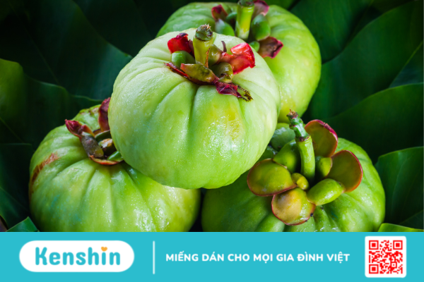 Garcinia là thảo dược gì? Có tác dụng ra sao đối với sức khỏe?