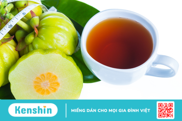 Garcinia là thảo dược gì? Có tác dụng ra sao đối với sức khỏe?