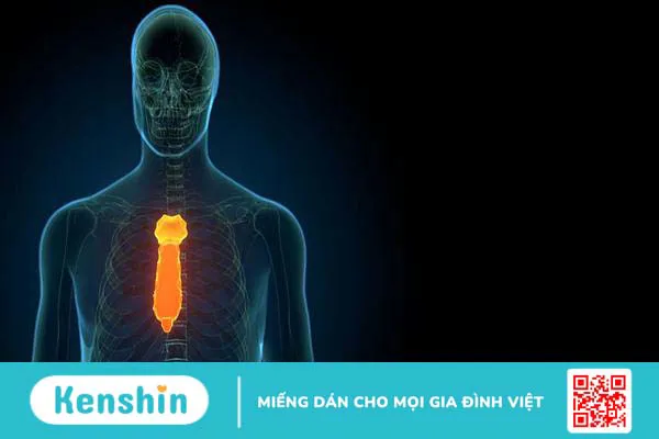 Gãy xương ức và những điều bạn cần biết