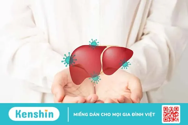 Giá vacxin viêm gan B cho người lớn và những lưu ý cần thiết