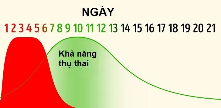 Giải đáp 7 tin đồn về ngày đèn đỏ khiến bạn lầm tưởng