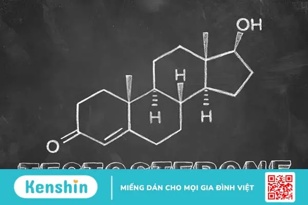 Giải đáp đạp xe đạp có bị to bắp chân không