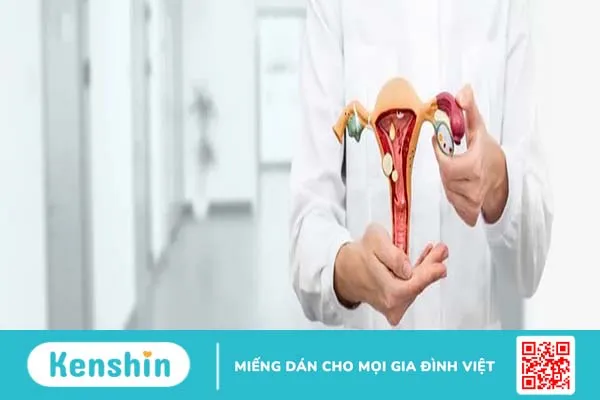 Giải đáp nghi vấn: Polyp cổ tử cung có nguy hiểm không?