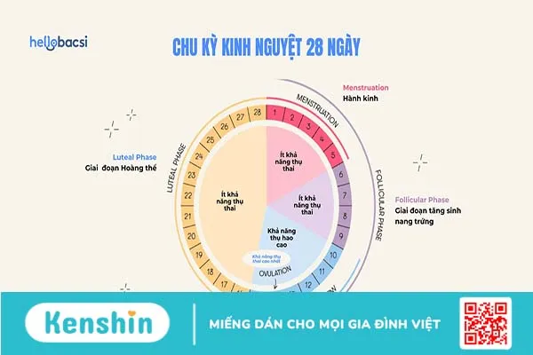 Giải đáp: Quan hệ trước 3 ngày có kinh nguyệt có thai không?