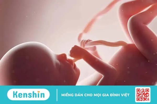 Giải đáp thắc mắc: Không xét nghiệm tiểu đường thai kỳ có sao không?