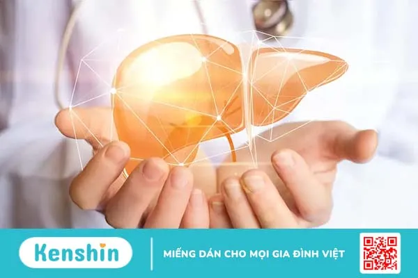 Giải đáp thắc mắc: Xét nghiệm ALT/GPT là gì, khi nào cần thực hiện?