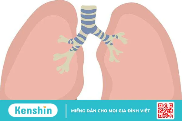 Giải đáp tràn dịch màng phổi có nguy hiểm không?