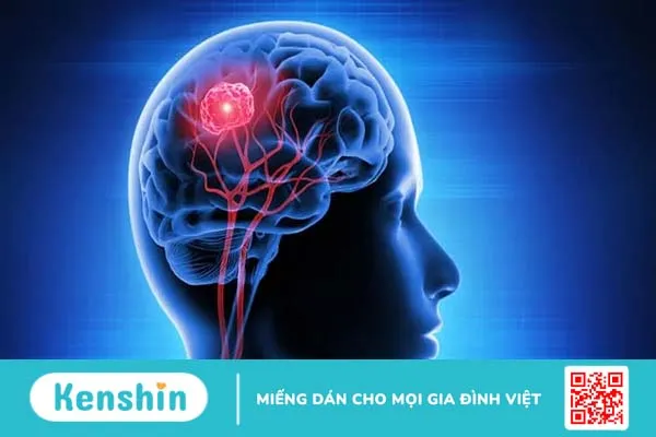 Giải mã bí ẩn ăn hạt hướng dương có bị teo não không