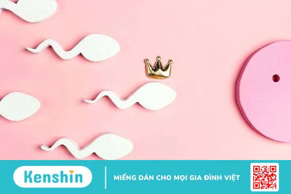 Giải mã cách xem ngấn chân biết trai hay gái trong dân gian